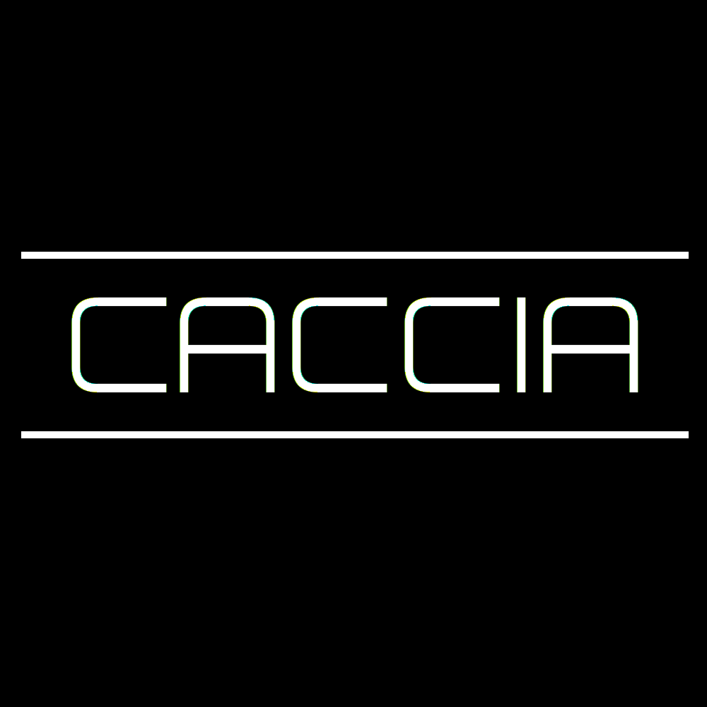Caccia – Chase Through Pripyat